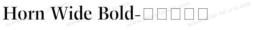 Horn Wide Bold字体转换